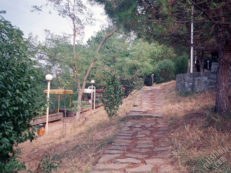 Trabzon`da bir parktan grn.
