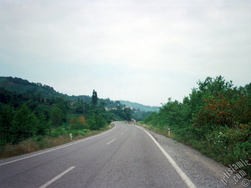 Trabzon`a bal Of ilemizden bir yol manzaras.
