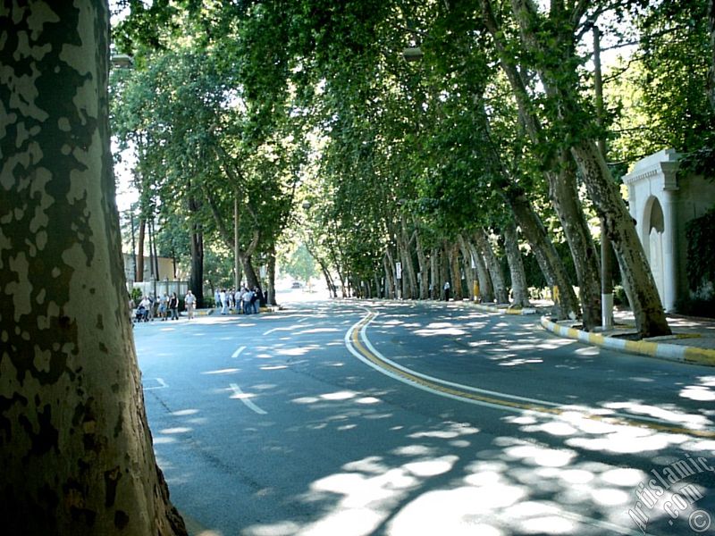 �stanbul Dolmabah�e-Be�ikta� yolundan Dolmabah�e y�n�ne bak��.
