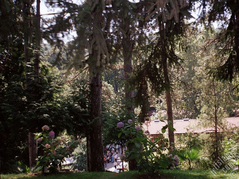 Yalova ilimizdeki Termal-G�k�edere K�y�`nden bir g�r�nt�.
