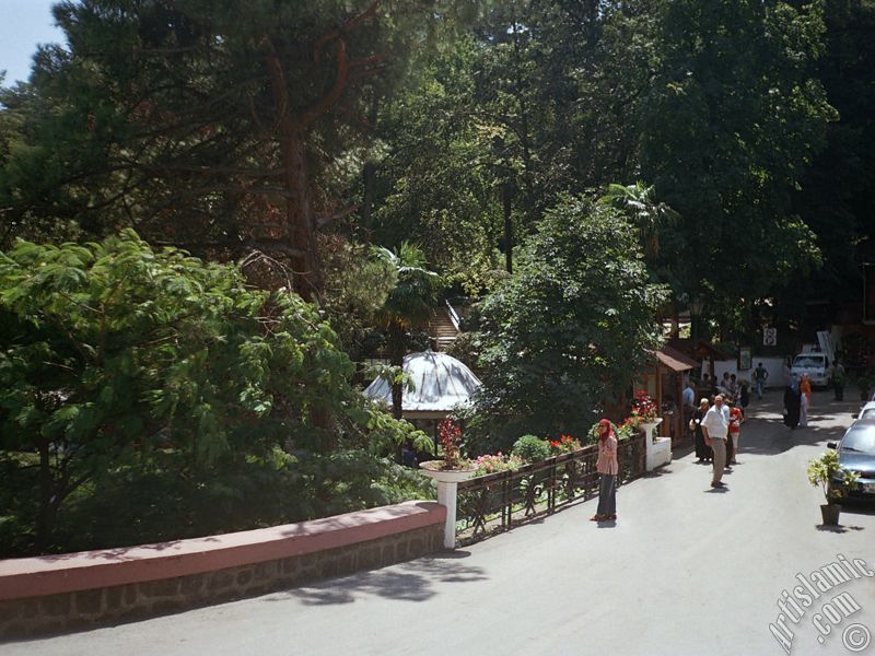 Yalova ilimizdeki Termal-G�k�edere K�y�`nden bir g�r�nt�.
