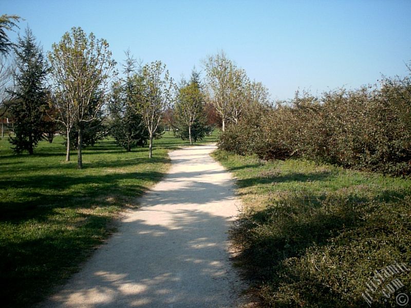 View of Botanical Park in Bursa city of Turkey.
