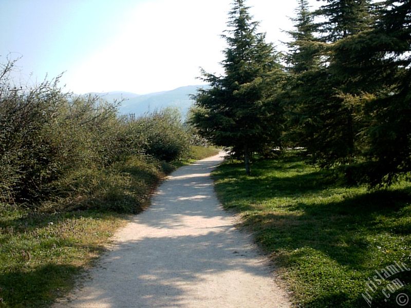 Bursa Botanik Parkndan bir manzara.
