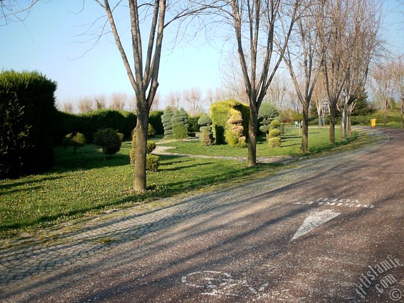 Bursa Botanik Parkndan bir manzara.
