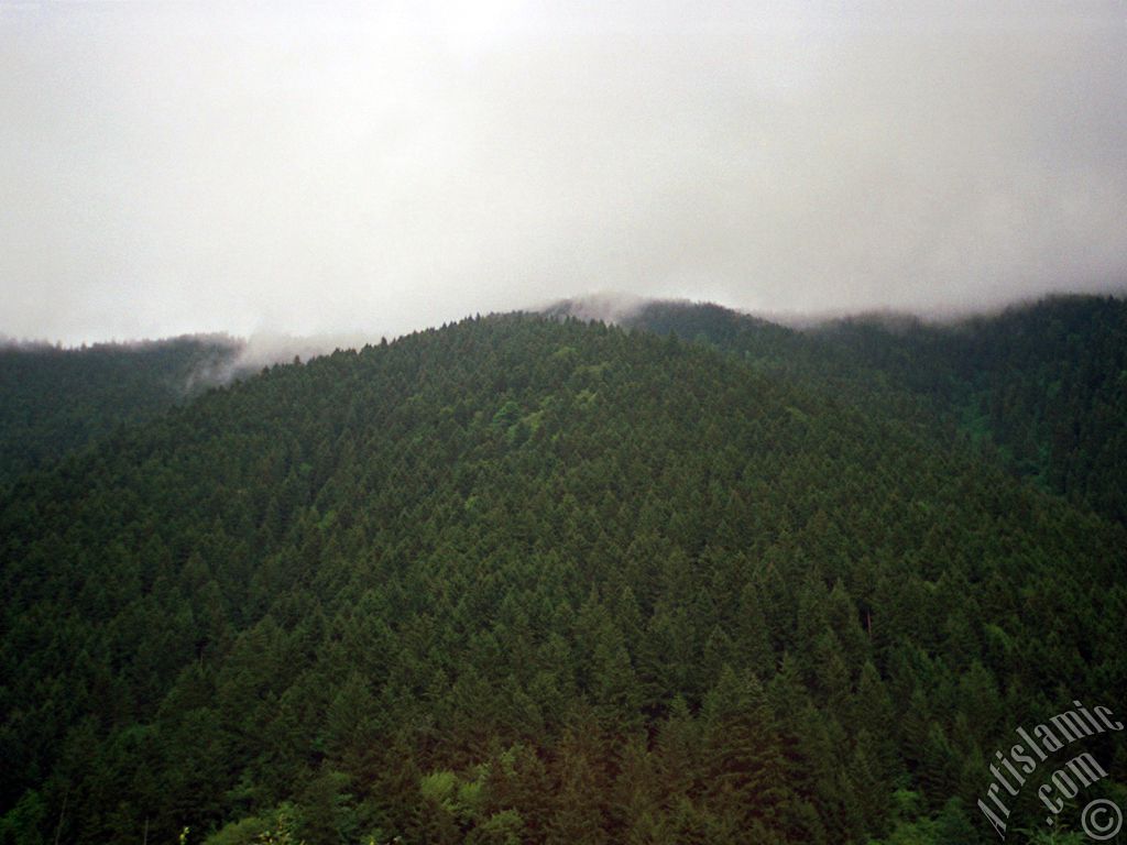 Trabzon Uzungl Yaylas`ndan bir manzara.
