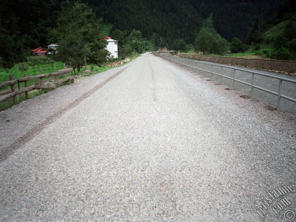 Trabzon Uzungl Yaylas`ndan bir manzara.
