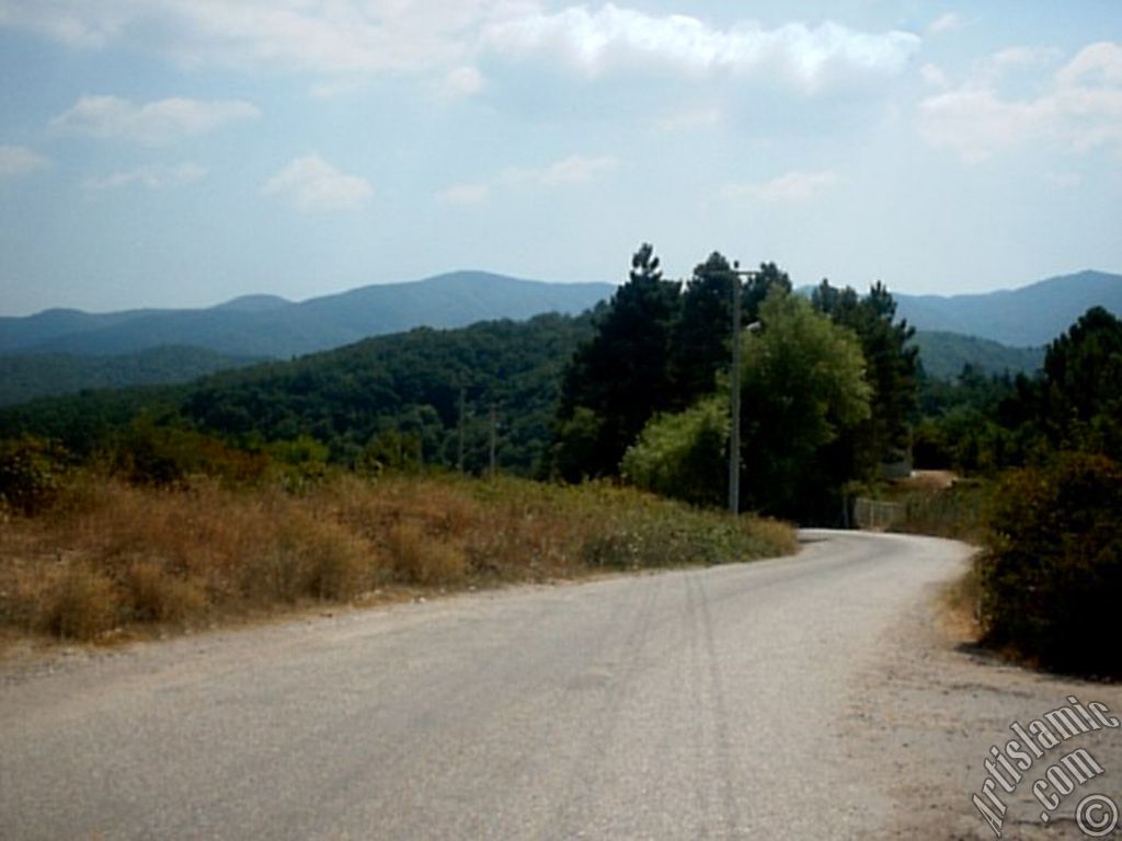 Yalova ilimizdeki Termal-Gkedere Ky`nden bir grnt.
