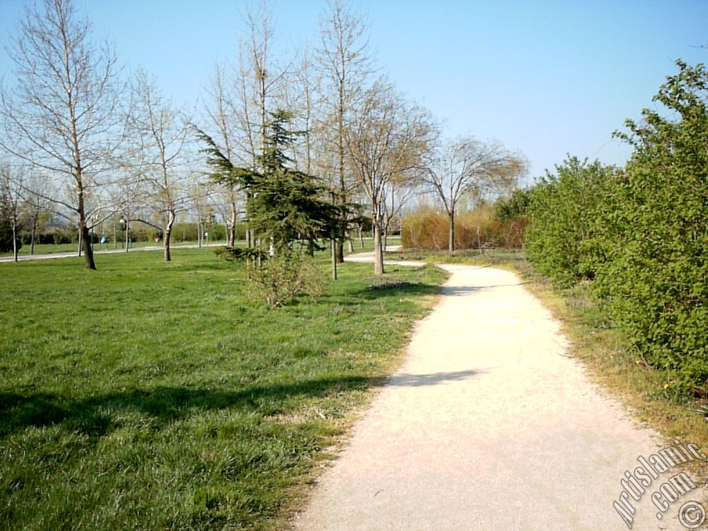 Bursa Botanik Parkndan bir manzara.
