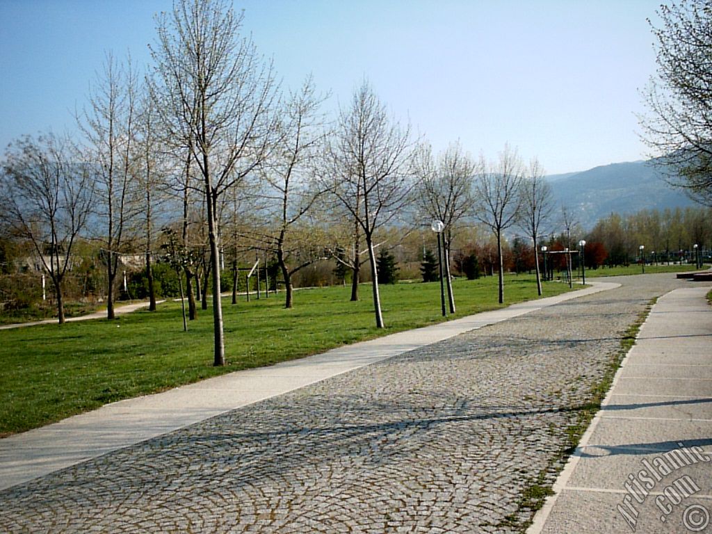 Bursa Botanik Park�ndan bir manzara.
