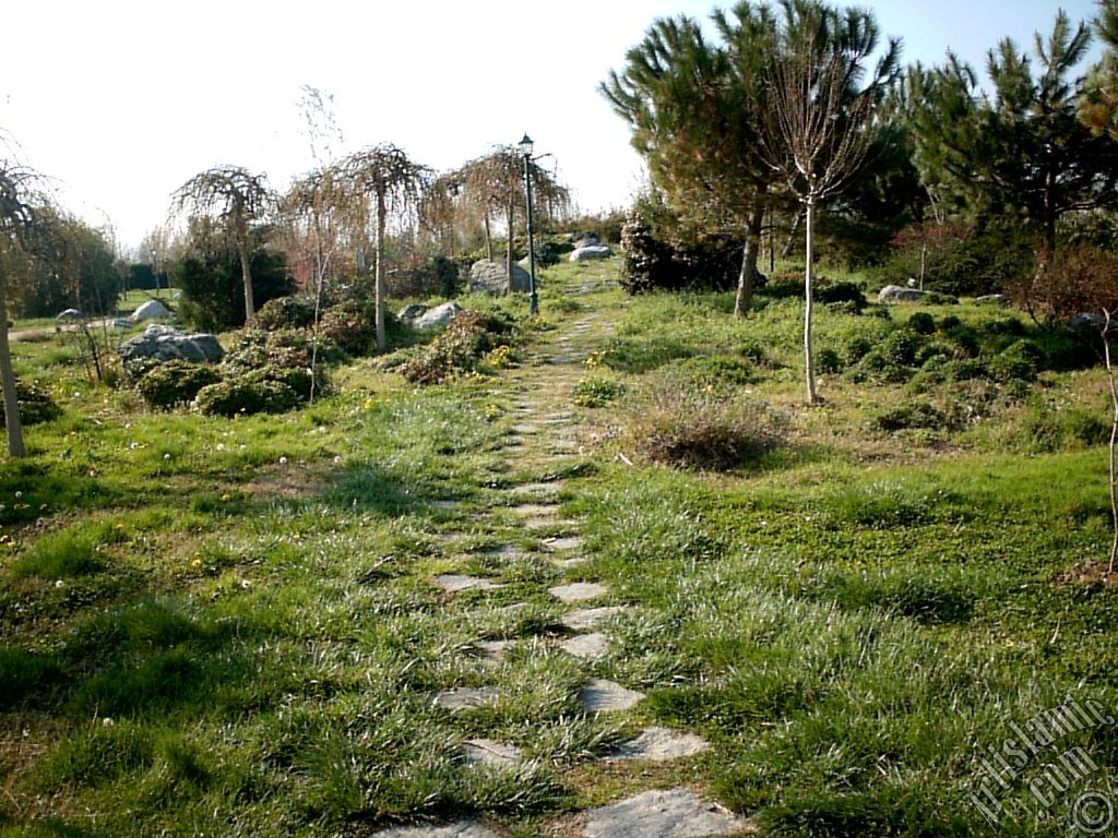 Bursa Botanik Parkndan bir manzara.
