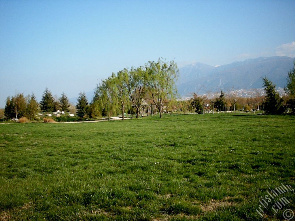 Bursa Botanik Parkndan bir manzara.
