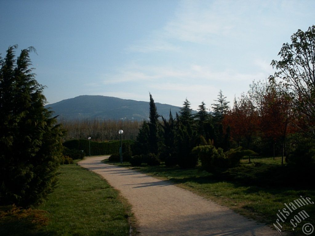 Bursa Botanik Parkndan bir manzara.
