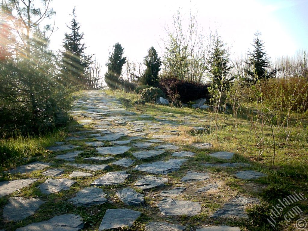 Bursa Botanik Parkndan bir manzara.
