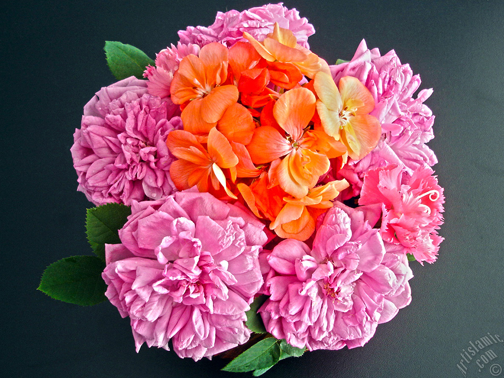 Pembe g�l resmi.

